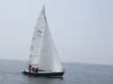 RIMG3198.JPG