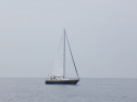 RIMG3332.JPG