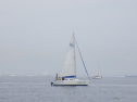 RIMG3333.JPG