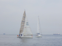 RIMG3335.JPG