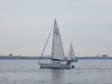 RIMG3337.JPG