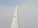 RIMG3338.JPG