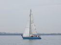 RIMG3343.JPG