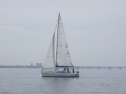 RIMG3347.JPG