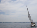 RIMG3368.JPG