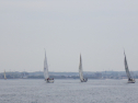 RIMG3369.JPG