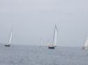 RIMG3371.JPG