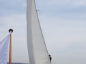 RIMG3374.JPG