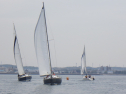 RIMG3375.JPG
