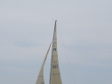 RIMG3377.JPG