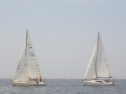 RIMG3379.JPG