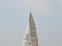 RIMG3380.JPG