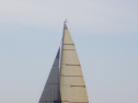 RIMG3382.JPG
