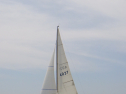 RIMG3384.JPG