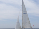RIMG3385.JPG