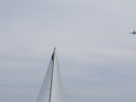 RIMG3388.JPG