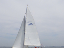 RIMG3389.JPG