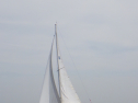 RIMG3391.JPG