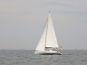 RIMG3397.JPG