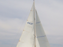 RIMG3402.JPG
