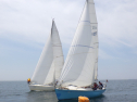 RIMG3406.JPG