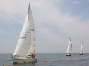 RIMG3408.JPG