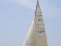 RIMG3410.JPG