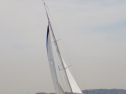 RIMG3417.JPG