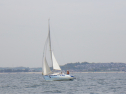 RIMG3419.JPG