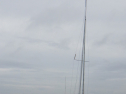 RIMG3503.JPG