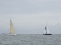RIMG3526.JPG