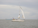 RIMG3534.JPG