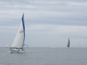 RIMG3537.JPG