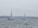 RIMG3539.JPG