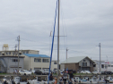 RIMG3556.JPG