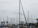RIMG3557.JPG