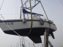 RIMG3836.JPG