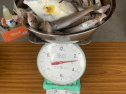 IMG_6147.jpeg