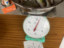 IMG_6149.jpeg