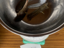 IMG_6152.jpeg