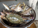 IMG_6155.jpeg