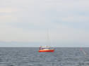 RIMG4119.JPG
