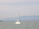 RIMG4145.JPG