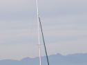 RIMG4146.JPG
