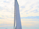 IMG_5296ab.jpg