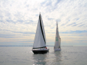 IMG_5300ab.jpg