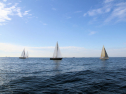 IMG_5316ab.jpg