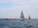 IMG_5319ab.jpg