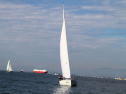 IMG_5323ab.jpg
