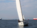 IMG_5324ab.jpg